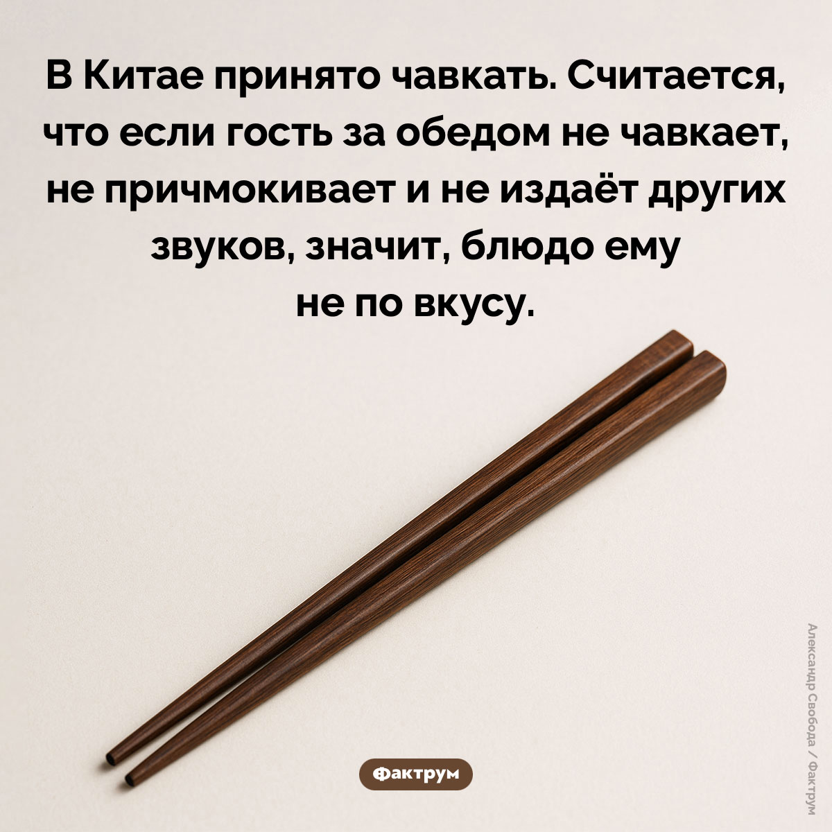 В Китае принято чавкать - свежие новости на Toplenta по теме ств