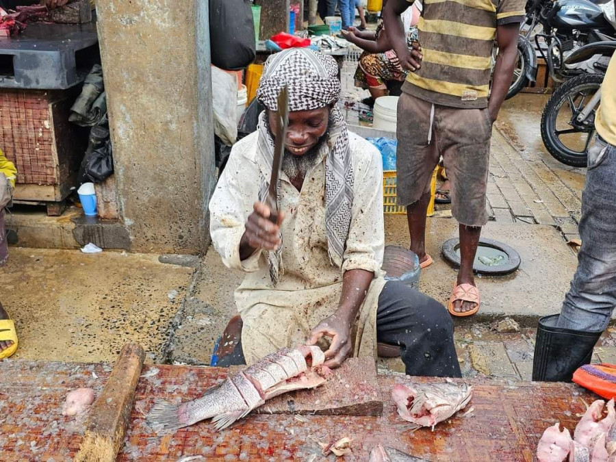 Про отношение граждан Африки к международной обстановке - свежие новости на Toplenta по теме ств