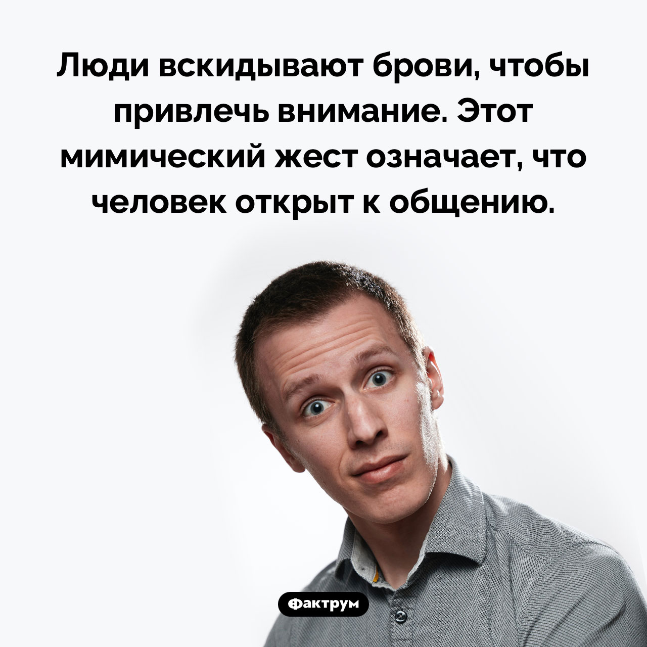 Почему люди вскидывают брови - свежие новости на Toplenta по теме ств