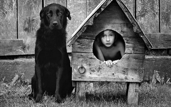 Черно-белая идиллия от Себастьяна Лучиво - свежие новости на Toplenta по теме хозяйство