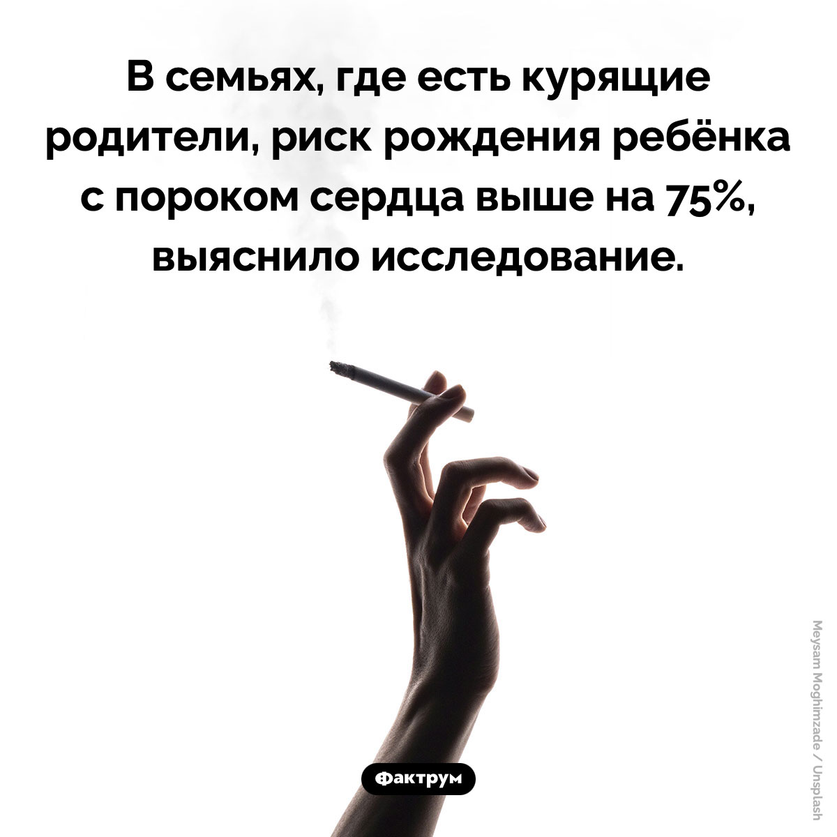 Курение родителей вызывает у детей порок сердца - свежие новости на Toplenta по теме курение