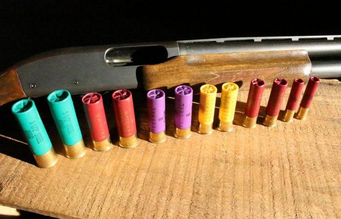 Почему мелкие калибры для охотничьих ружей почти исчезли - свежие новости на Toplenta по теме Рафаэль социальный