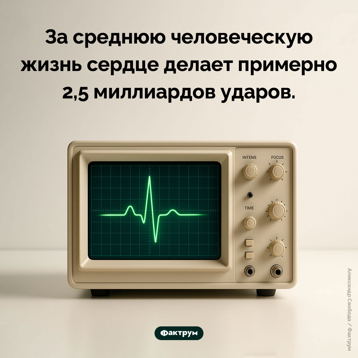 Сколько ударов сердце делает за жизнь - свежие новости на Toplenta по теме Факты в картинках