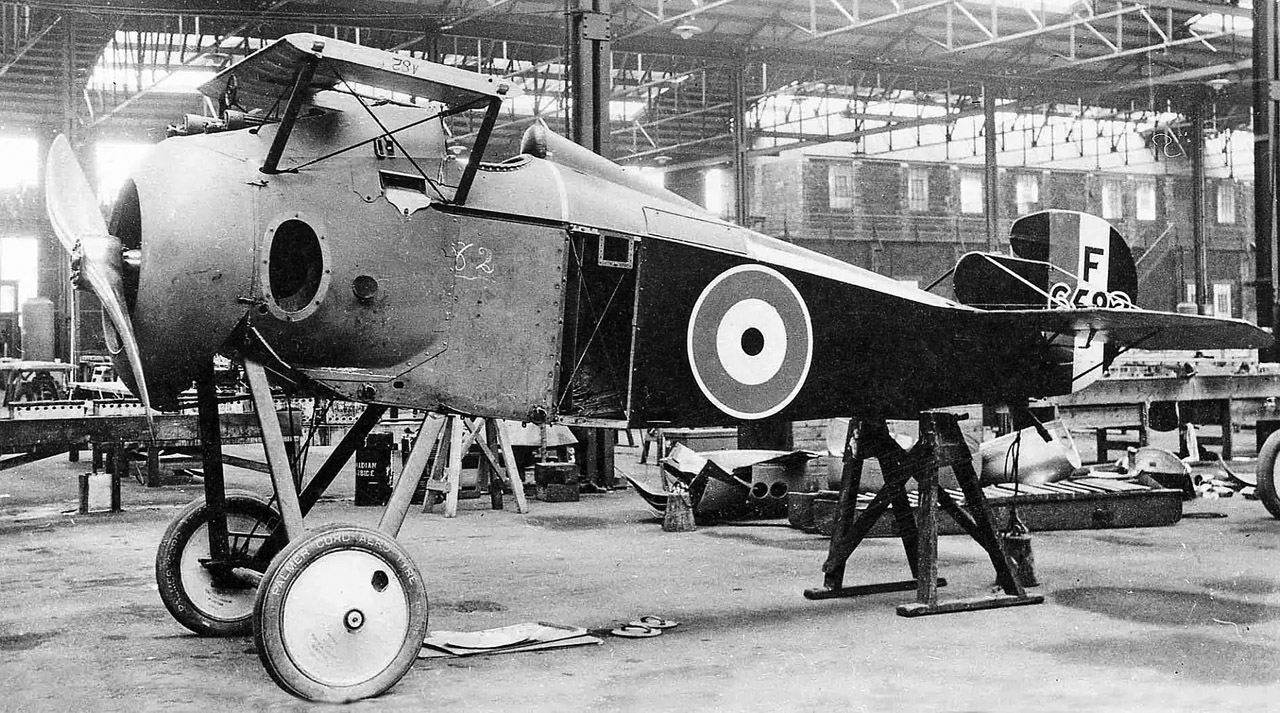 Стальная саламандра - свежие новости на Toplenta