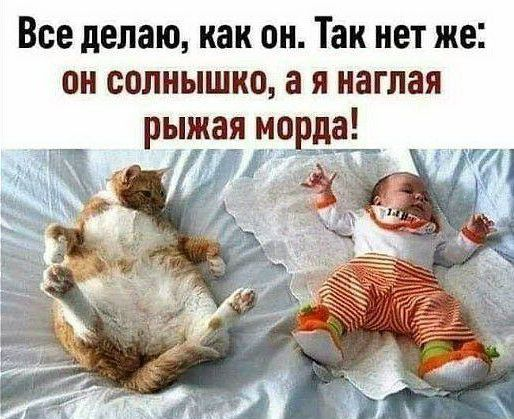 Кризис в личной жизни — когда даже по пьяни никому звонить не хочется! - свежие новости на Toplenta