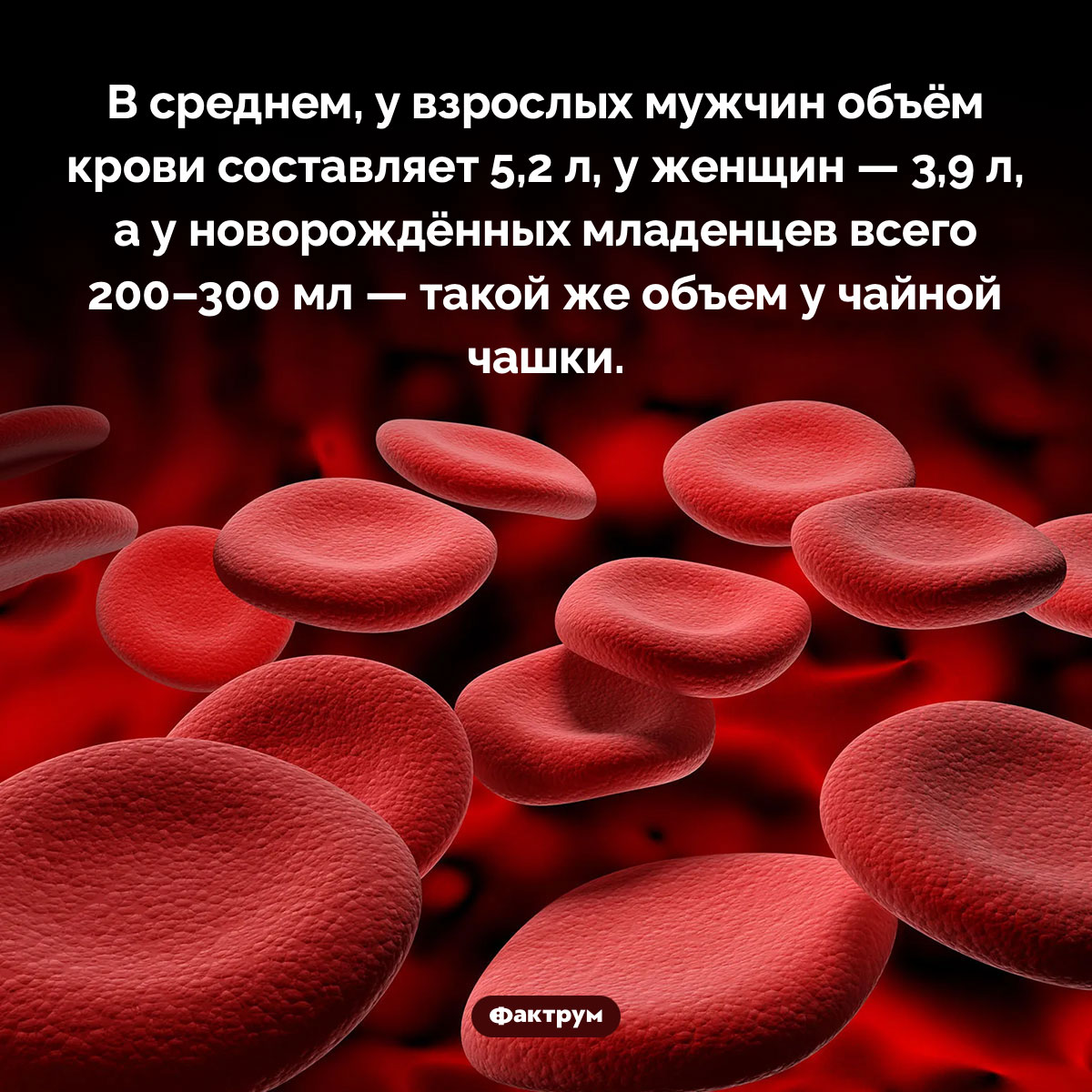 Сколько крови у новорождённых - свежие новости на Toplenta