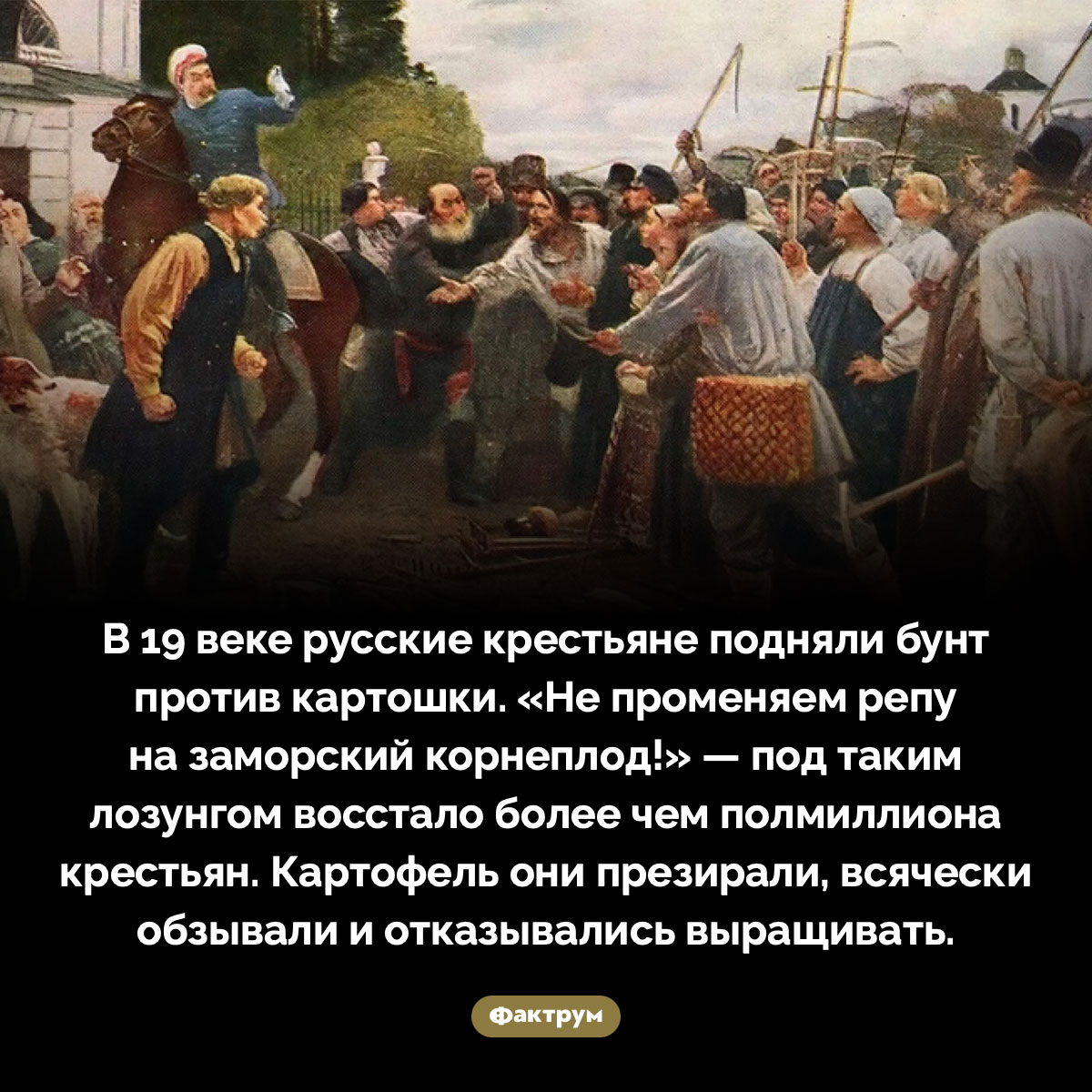 Бунт против картошки - свежие новости на Toplenta по теме ств