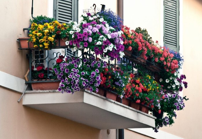 7 готовых схем для выращивания цветов за окном квартиры, как в итальянских многоэтажках - свежие новости на Toplenta