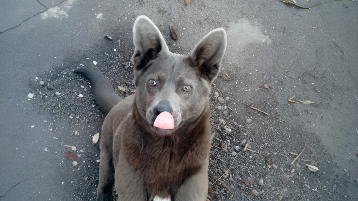 Несколько месяцев - свежие новости на Toplenta