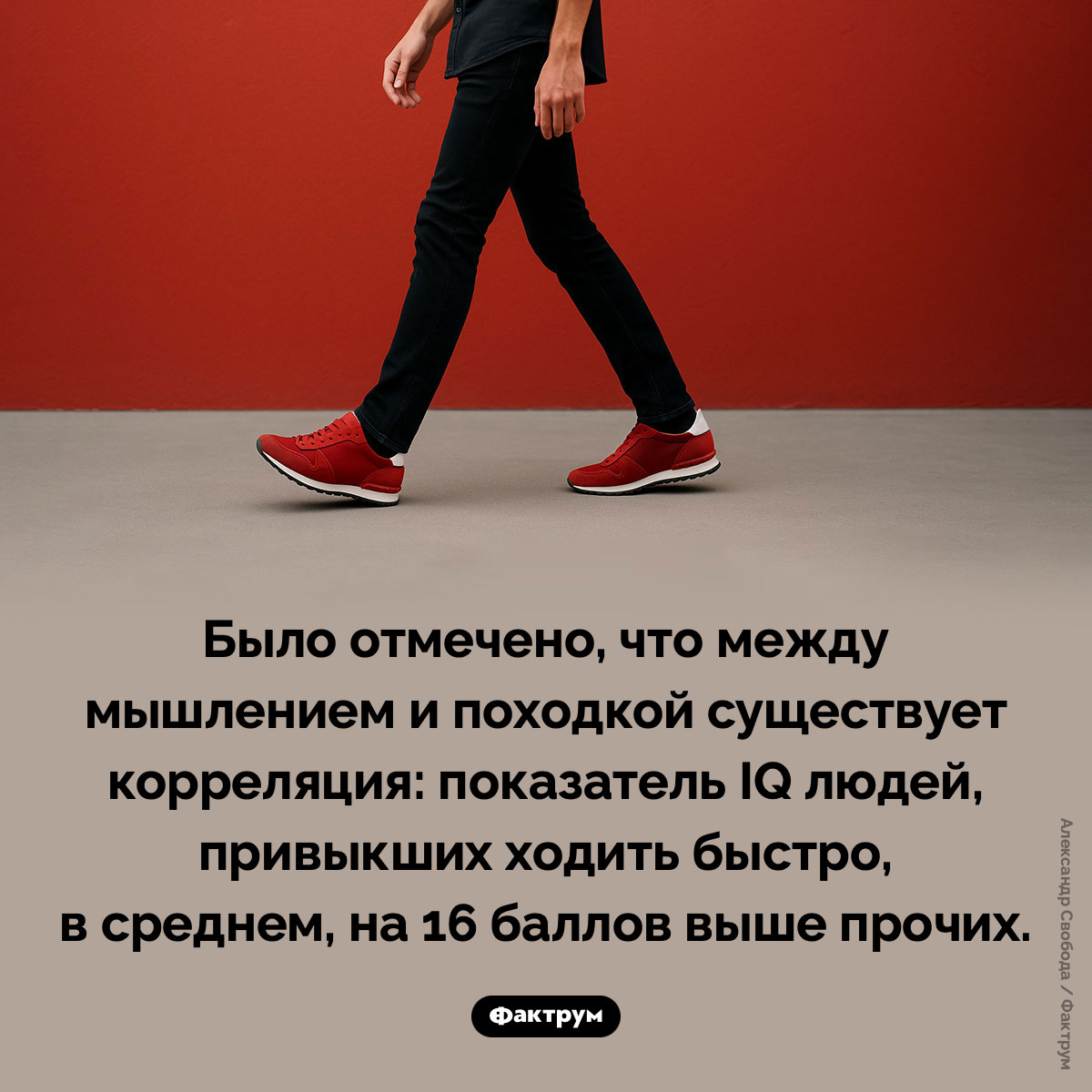 Умные люди ходят быстро - свежие новости на Toplenta по теме ств