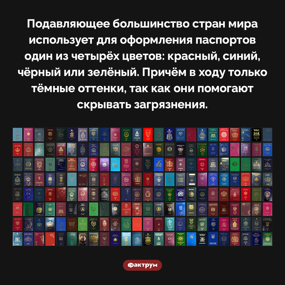 Для оформления паспортов во всём мире используется всего четыре цвета - свежие новости на Toplenta по теме Факт