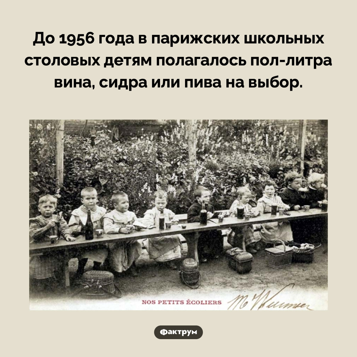 Алкоголь в школьных столовых Франции - свежие новости на Toplenta по теме ств