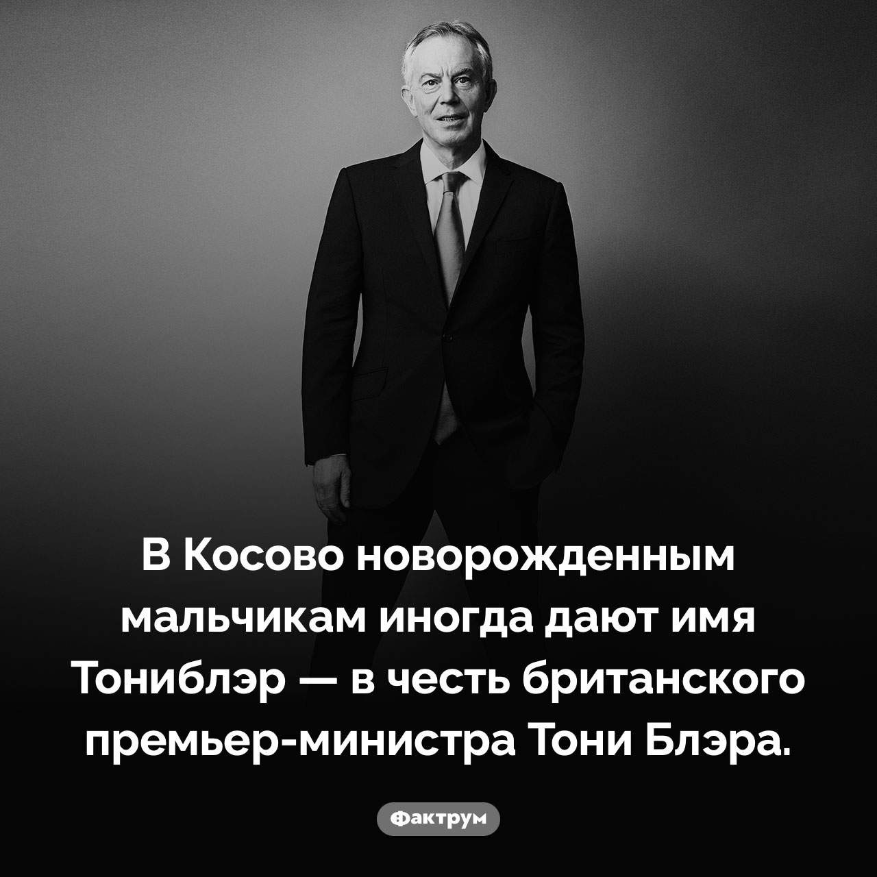 Тониблэры - свежие новости на Toplenta