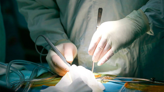 СФ одобрил закон о трехлетней отработке для выпускников медвузов - Общество на Toplenta