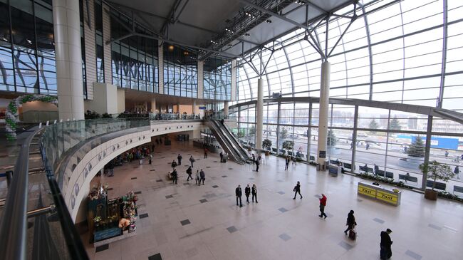 Борт Air Arabia из Шарджи в Домодедово прилетел без 90 мест багажа - Общество на Toplenta