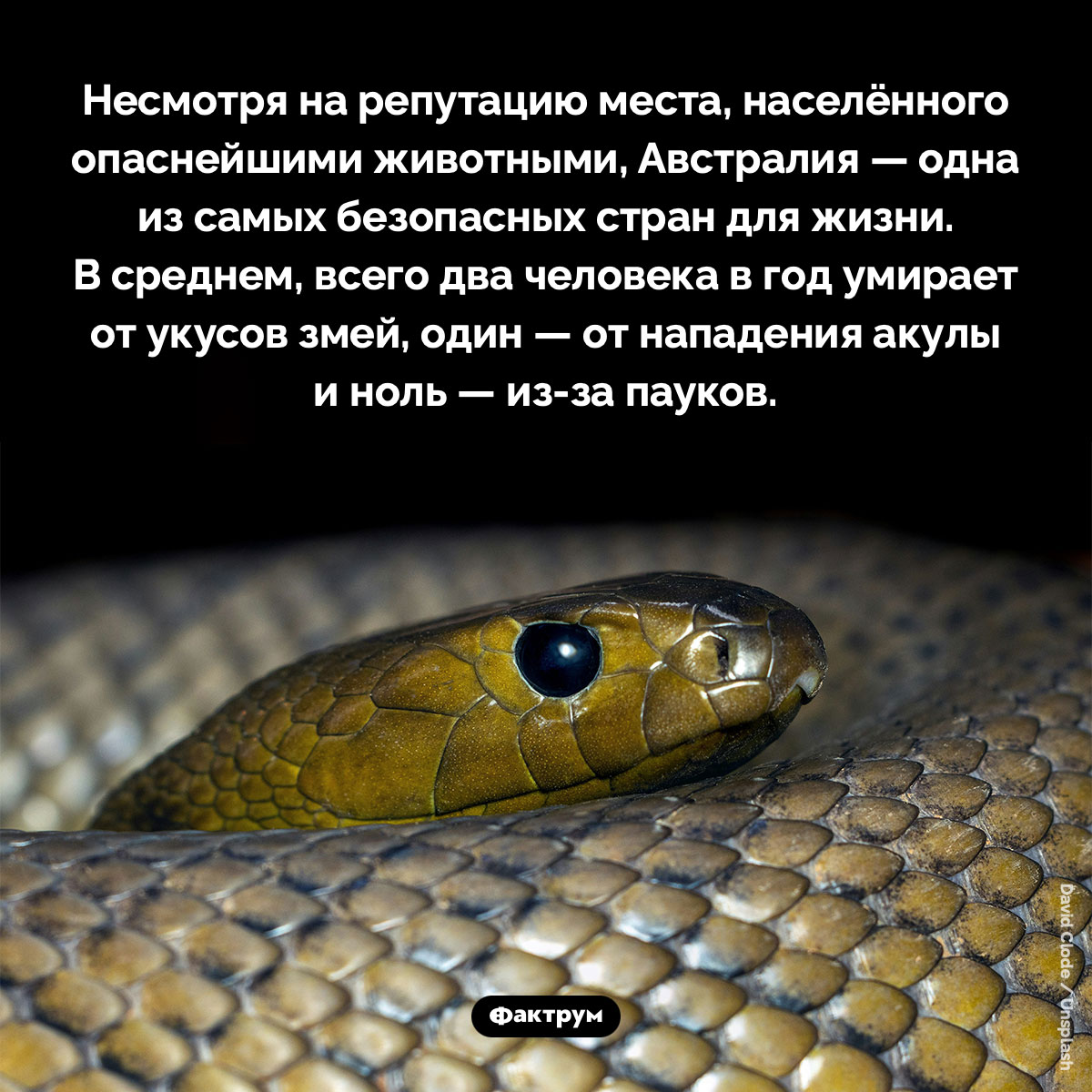 Австралия — одна из самых безопасных стран мира - свежие новости на Toplenta