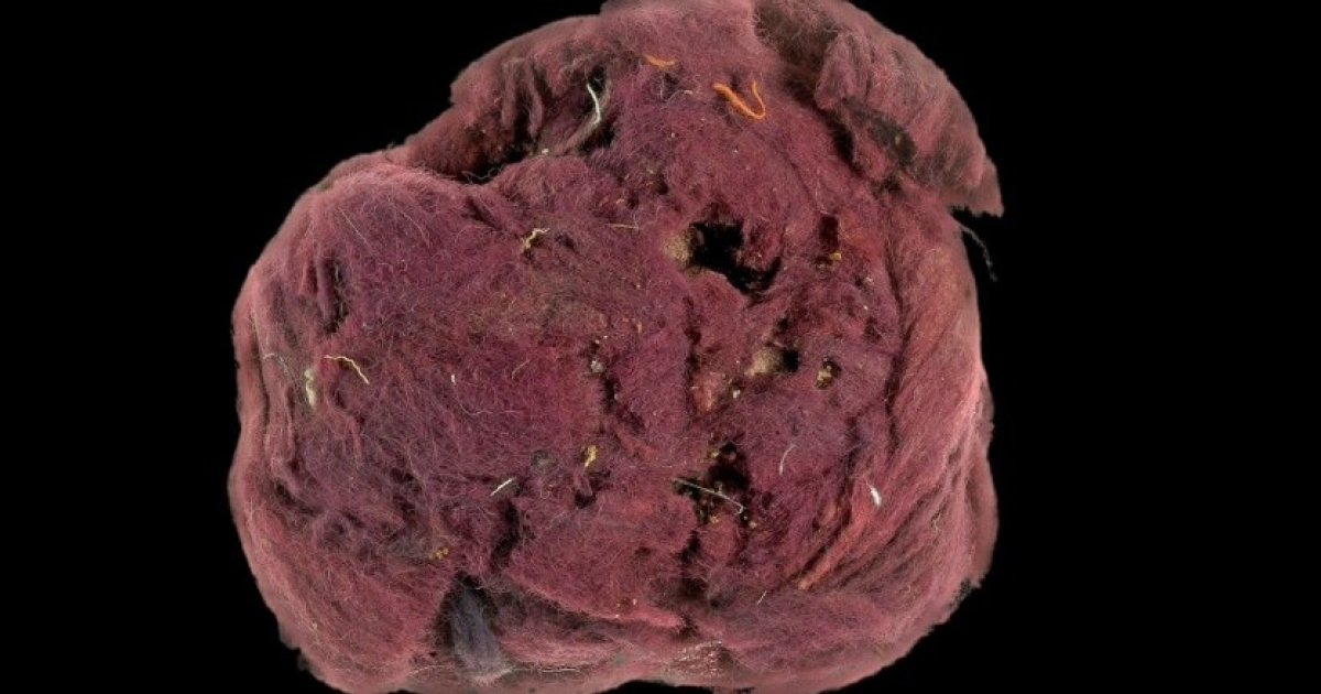 Ценный пурпур подделали в римское время - свежие новости на Toplenta по теме Ценный