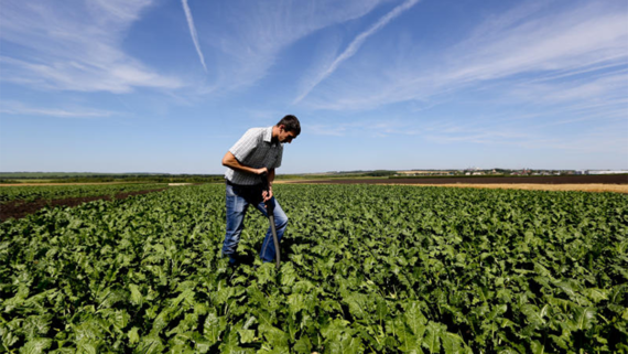 Минсельхоз направит 15 млрд рублей на поддержку фермеров в 2026 году - Общество на Toplenta