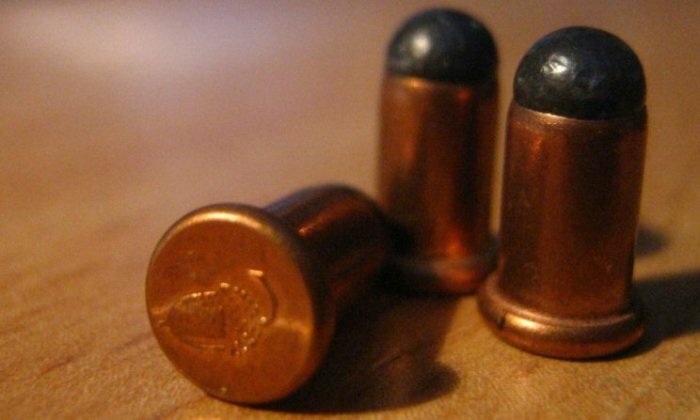 Зачем нужны пули из дерева и резины - свежие новости на Toplenta по теме ул