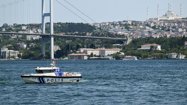 В Стамбуле мать и двое детей умерли из-за фастфуда, сообщили СМИ - свежие новости на Toplenta по теме общество