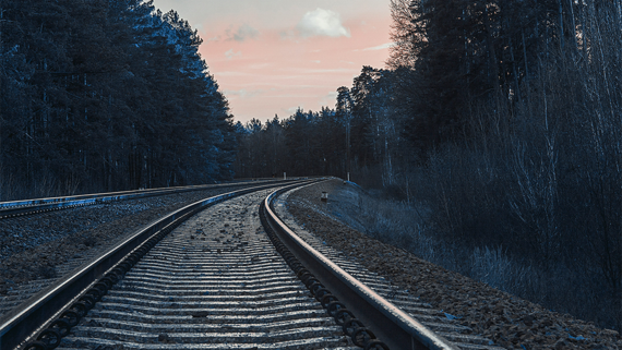 Польша привлекла армию к охране железной дороги - Общество на Toplenta