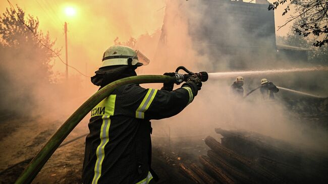 В Новороссийске горит лес - Общество на Toplenta