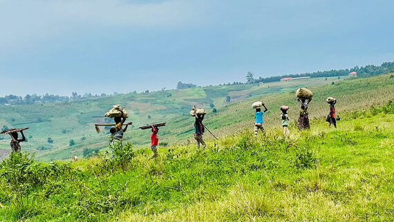 Повстанцы убили 89 мирных жителей на востоке ДР Конго - похожая новость на Toplenta