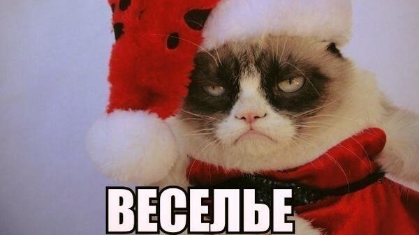 Подборка мемов для тех, кто уже проникся новогодним настроением - свежие новости на Toplenta по теме с