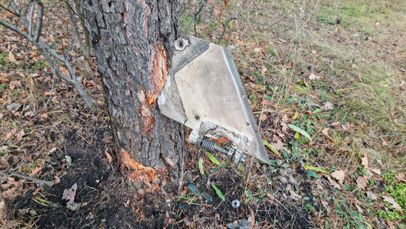 В воронежском СНТ нашли элементы ракет ATACMS - похожая новость на Toplenta