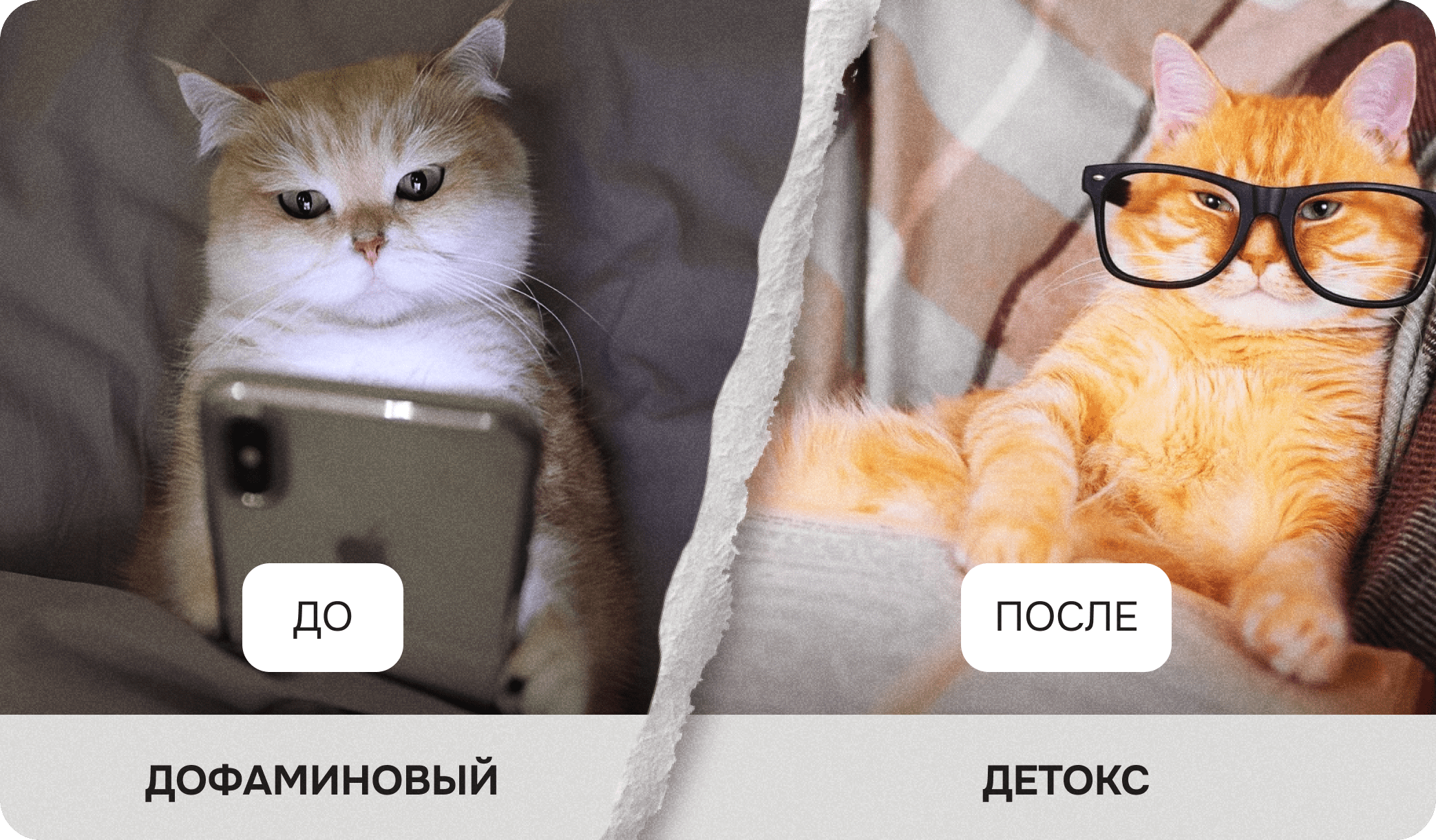 Что такое дофаминовый детокс и зачем он вообще нужен? - похожая новость на Toplenta