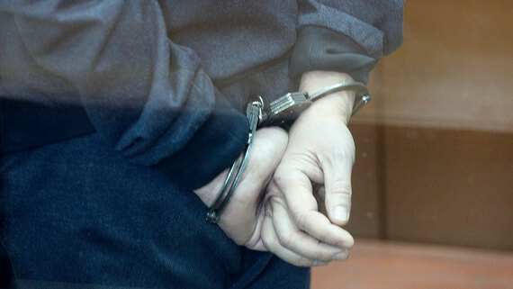 Госдума одобрила пожизненное лишение свободы за склонение детей к диверсиям - свежие новости на Toplenta по теме Общее