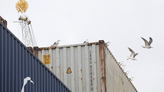 Грузооборот российских портов за 10 месяцев сократился на 1,5% - свежие новости на Toplenta по теме Общее