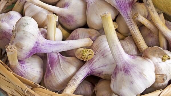 Не дайте вашему чесноку засохнуть: простой способ сберечь его сочным без холодильника - похожая новость на Toplenta