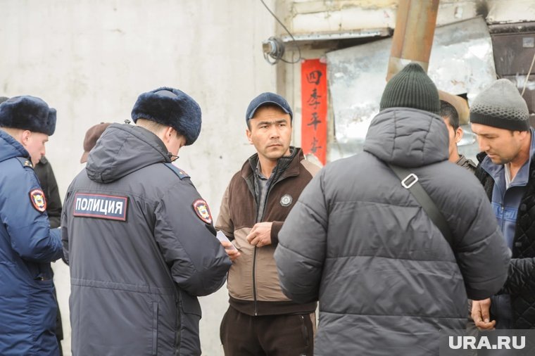 Мигранты: 100% оргнабор - свежие новости на Toplenta по теме Коми