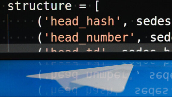 МВД сообщило о регулярной блокировке направленных на дестабилизацию в РФ каналов - Общество на Toplenta