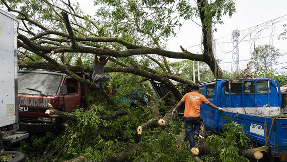 Сельское хозяйство Филиппин пострадало на $2 млн от тайфуна «Фунг-Вонг» - свежие новости на Toplenta по теме Общее