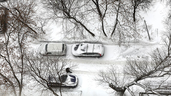 Синоптики рассказали, какой будет зима - свежие новости на Toplenta