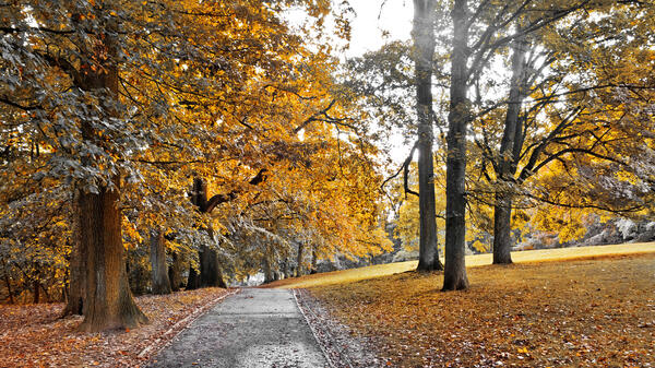 Как отмечали Проводы осени 1 ноября — традиции и приметы праздника - свежие новости на Toplenta по теме Новые известия