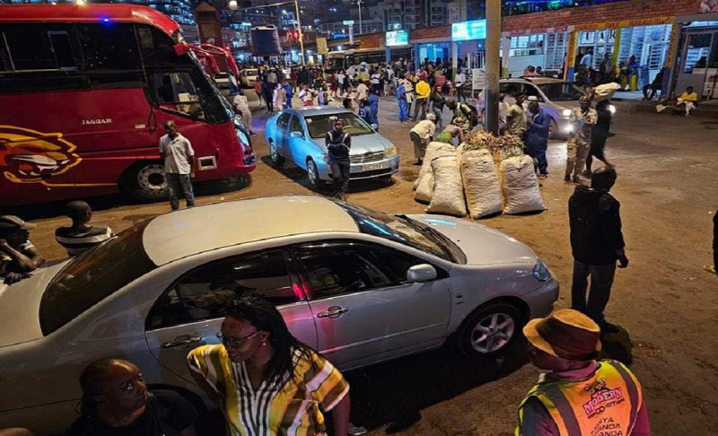 Про обычную ночную поездку на автобусе по Южной Африке - свежие новости на Toplenta по теме апи