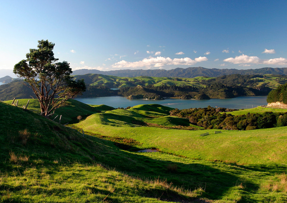 Про влияние импортных корнеплодов на политику и общество страны - свежие новости на Toplenta по теме Капитал