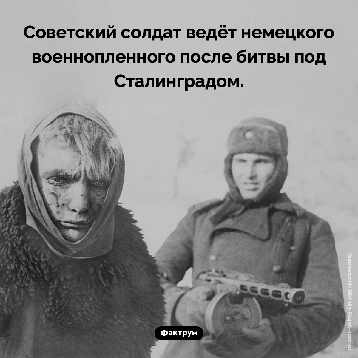 Немецкий военнопленный - свежие новости на Toplenta по теме Мировая война