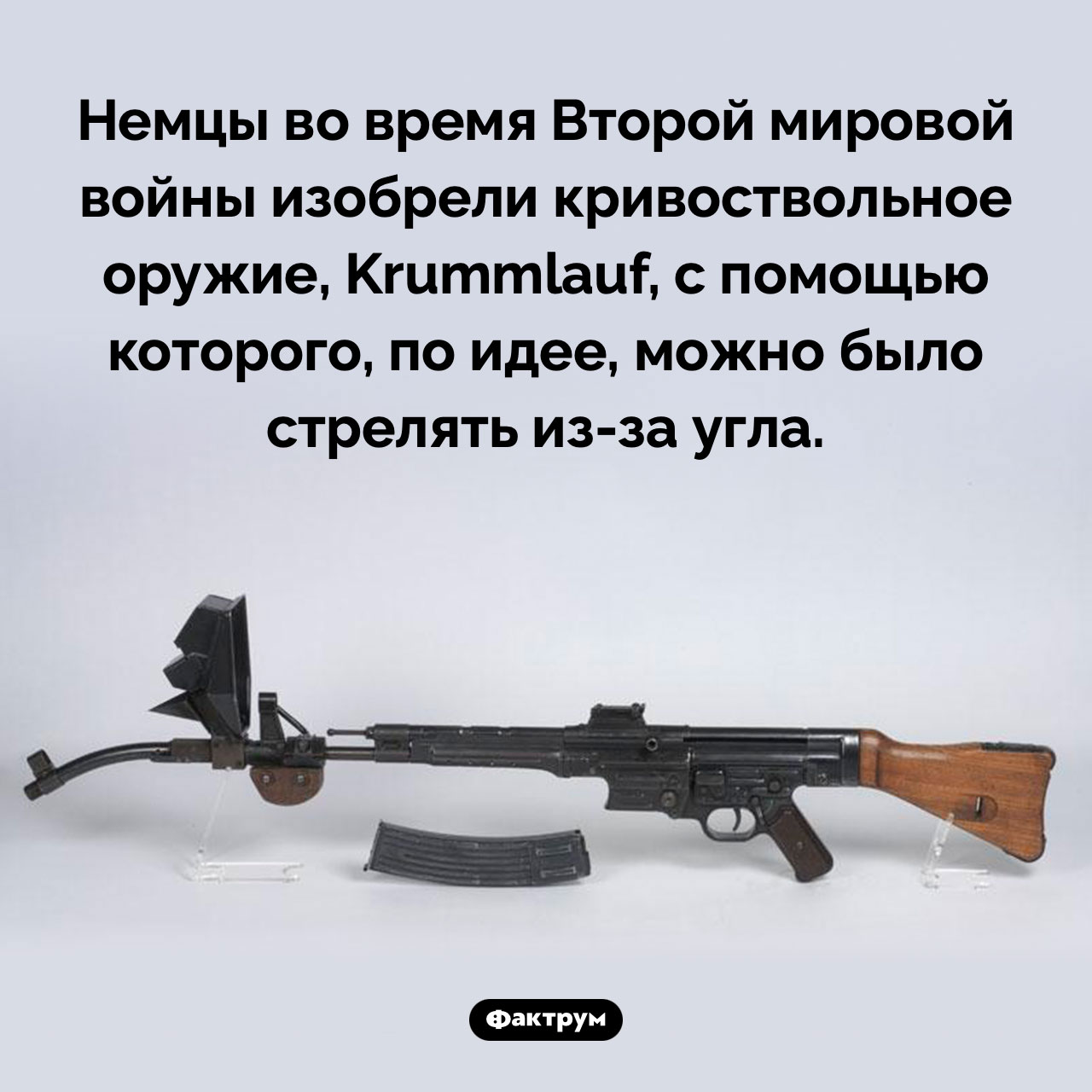 Кривоствольное оружие - свежие новости на Toplenta по теме германия