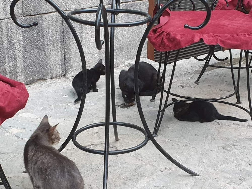 Рассказ про то, как Георгий учился у пранкеров Вована и Лексуса - свежие новости на Toplenta