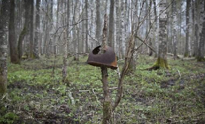 Мясной Бор: черные копатели исследовали место тяжелых боев - свежие новости на Toplenta