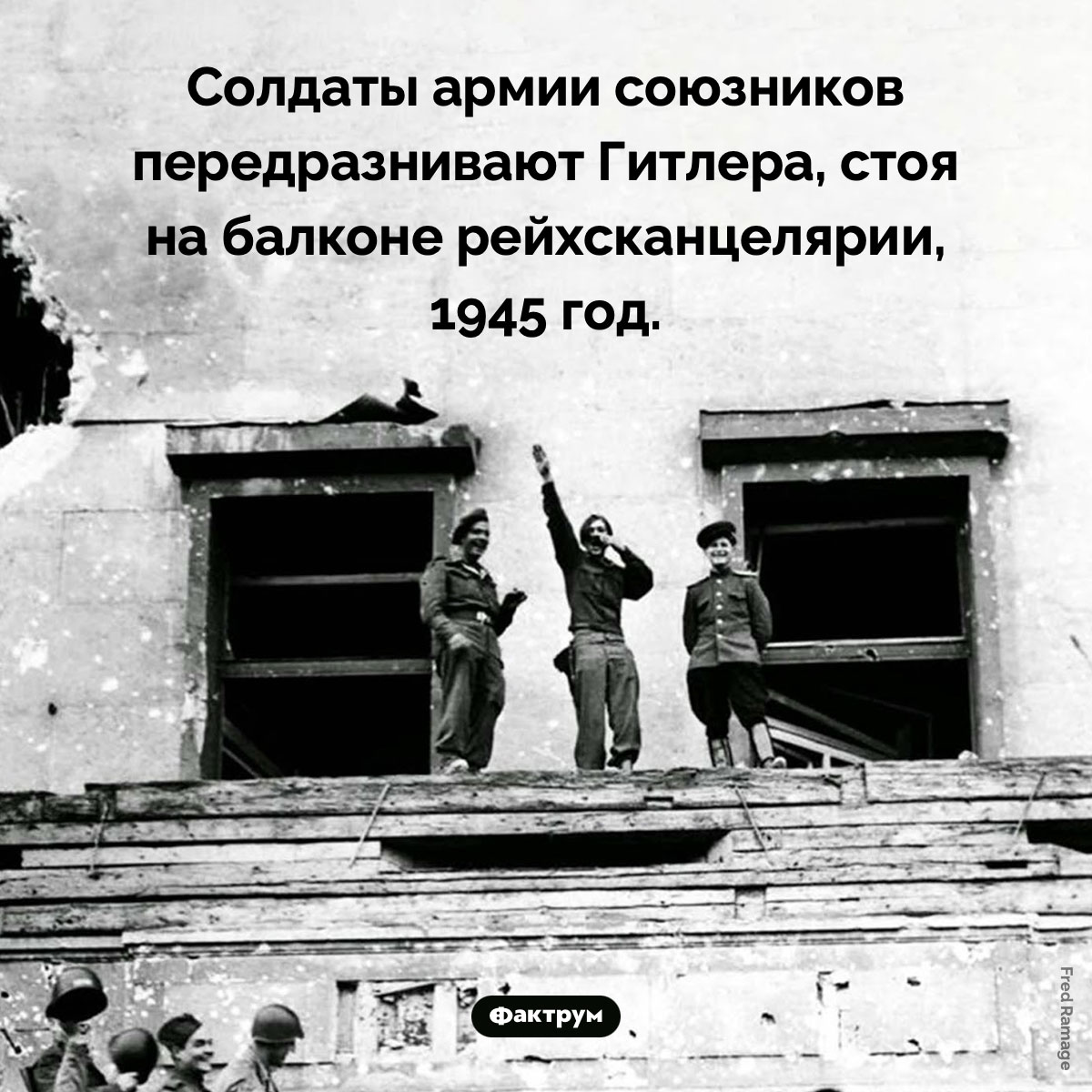 Солдаты передразнивают Гитлера - свежие новости на Toplenta