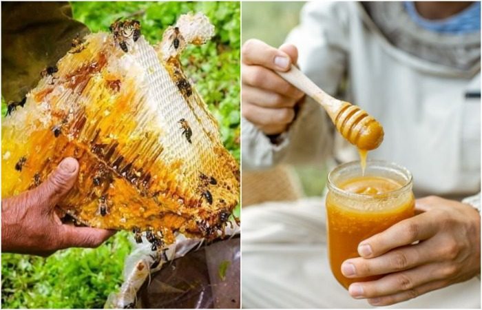 Как мёд превратили в оружие, и почему сегодня он такой дорогой - свежие новости на Toplenta по теме арм