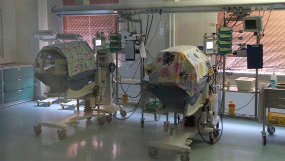 Госдума приняла закон о новых льготах для рожденных с помощью ЭКО детей - Политика на Toplenta