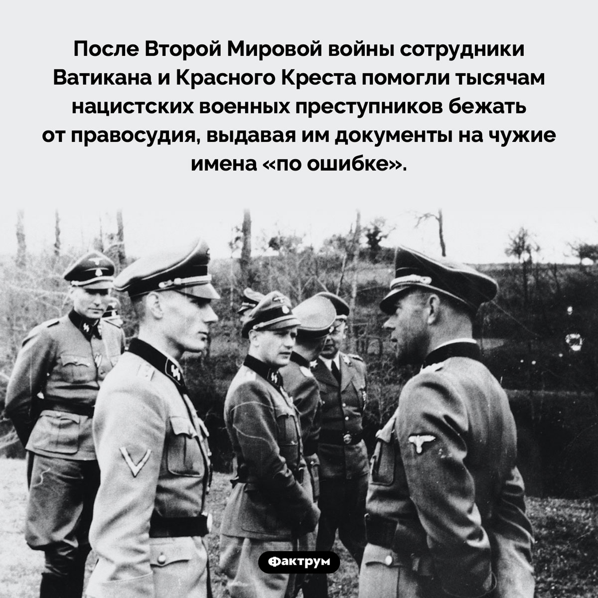 Помощь нацистам - похожая новость на Toplenta