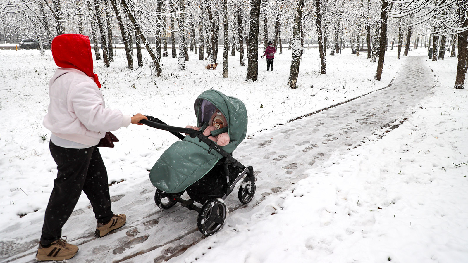 Госдума приняла закон о выплатах детям, зачатым путем ЭКО после смерти отца - похожая новость на Toplenta