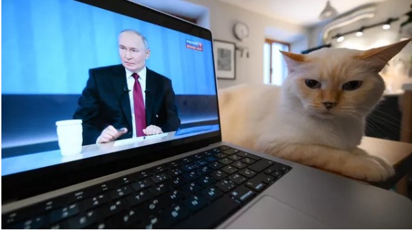 Голодное «мяу» или довольное «мур»: как кошки выражают свои чувства - свежие новости на Toplenta по теме Каллас